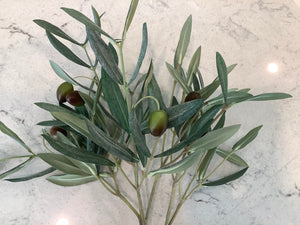 19.5" Olive Stem with Olives