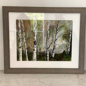 Murray MacRitchie Water Colour Original Art ‘Birches on the Bruce’